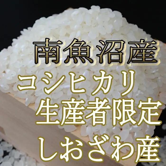 【令和7年産】【定期便】生産者限定 契約栽培　南魚沼しおざわ産コシヒカリ（10Kg×9ヶ月）【定期便 銘柄米 ブランド米 精米 こしひかり コシヒカリ 魚沼産 新潟米 産地直送 お米 米 こめ コメ 