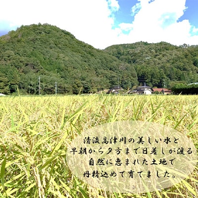 令和8年産　吉賀町広石産コシヒカリ　清流高津川のお米　精米10kg