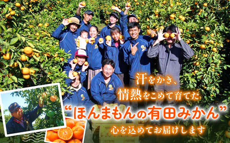 こだわりの 有田 みかん 10kg＋150g(傷み補償分) 【ご家庭用】 ※北海道・沖縄・離島配送不可 ※2026年12月発送予定 【nuk004-c-10-decH】 