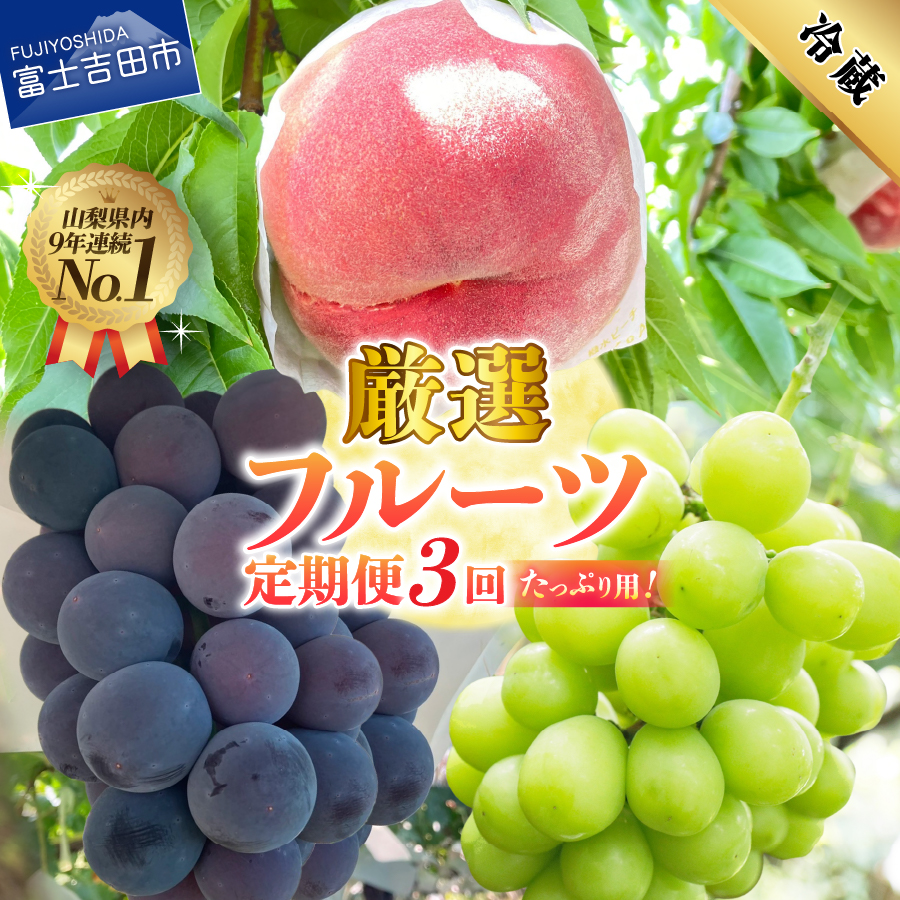 【2026年発送 先行予約】【定期便】 厳選 フルーツ3回定期便