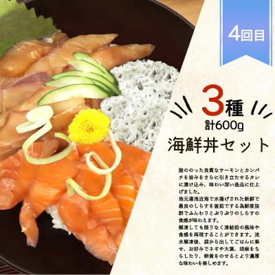 ふるさと納税 由良町 【毎月定期便】海鮮彩りセットB(サバフィレ・うなぎ蒲焼・紅鮭切身・海鮮漬)全4回 |  | 03