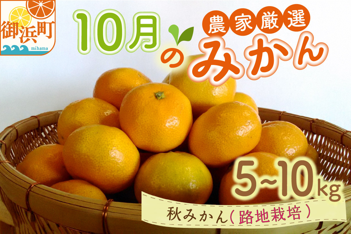 
            10月の御浜柑橘　秋みかん5～10キロ【先行予約 期間限定 果物 フルーツ みかん 極早生みかん 極早生 5kg ～ 10kg 露地栽培 三重県 御浜町】
          