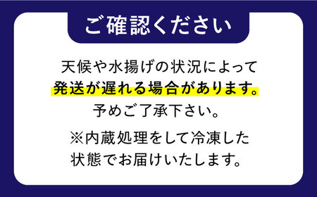 【着日指定】島原半島 はしり蛸(中たこ) 3杯　約2400g / タコ　新鮮　海鮮物　刺し身　揚げ物　酢物　キャンプ　BBQ / 南島原市 / 深江町漁業協同組合[SBO005]