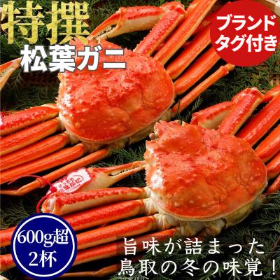 ふるさと納税 八頭町 【ボイル】特撰 松葉がに(タグ付き)600g超の大きいサイズ　2杯