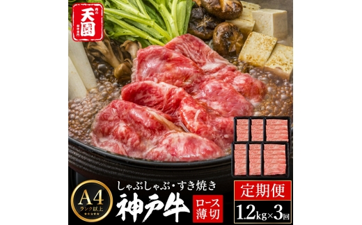 定期便 神戸牛 霜降り 肩ロース しゃぶしゃぶ すき焼き 計3.6kg（1.2kg×3回）毎月1回のお届け / A4ランク以上 しゃぶしゃぶ用 すき焼き用 牛肉 ロース 小分け 薄切り うす切り 冷凍 肉の天園