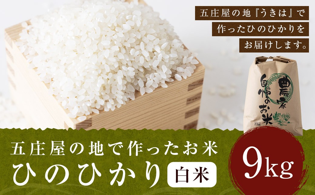 【特Aランク米】五庄屋の地で作ったお米 ひのひかり 白米 (9kg) 【2025年10月下旬より順次発送予定】 ヒノヒカリ こめ コメ ごはん ご飯 福岡県うきは市産 九州産