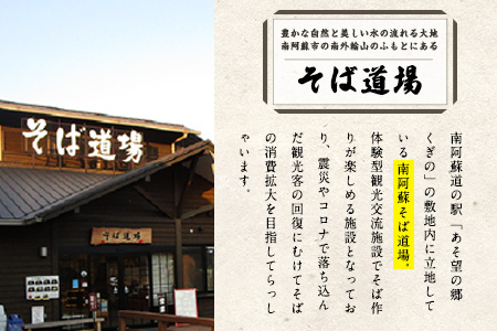 自然豊かな南阿蘇の粗挽きそば 10袋(20束) つゆ20食付き あそ望の郷くぎの そば道場《90日以内に順次出荷(土日祝を除く)》 熊本県南阿蘇村 蕎麦