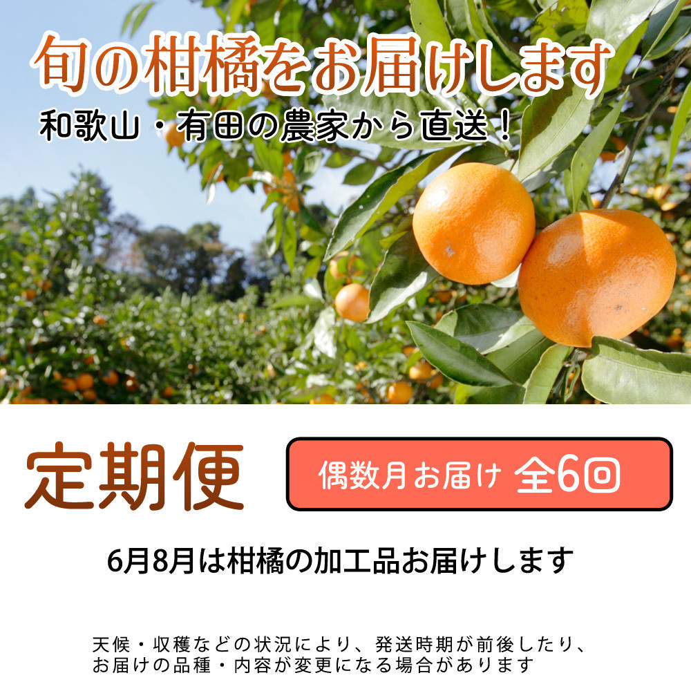 厳選 柑橘定期便M（偶数月）全6回 ［IKE294］