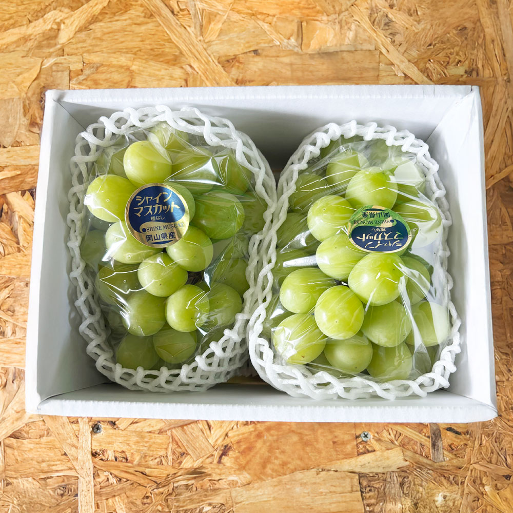 【ふるさと納税】＜選べる容量＞ ぶどう シャイン マスカット 1房 （700g以上） ／ 2房 （合計1.4kg以上） ／ 3～4房 （合計2kg以上） 2026年 先行予約 ブドウ 葡萄 岡山県産 国産 フルーツ 果物 河本農園 岡山県 美咲町 冷蔵 送料無料 【2026年9月上旬～9月下旬発送予定】