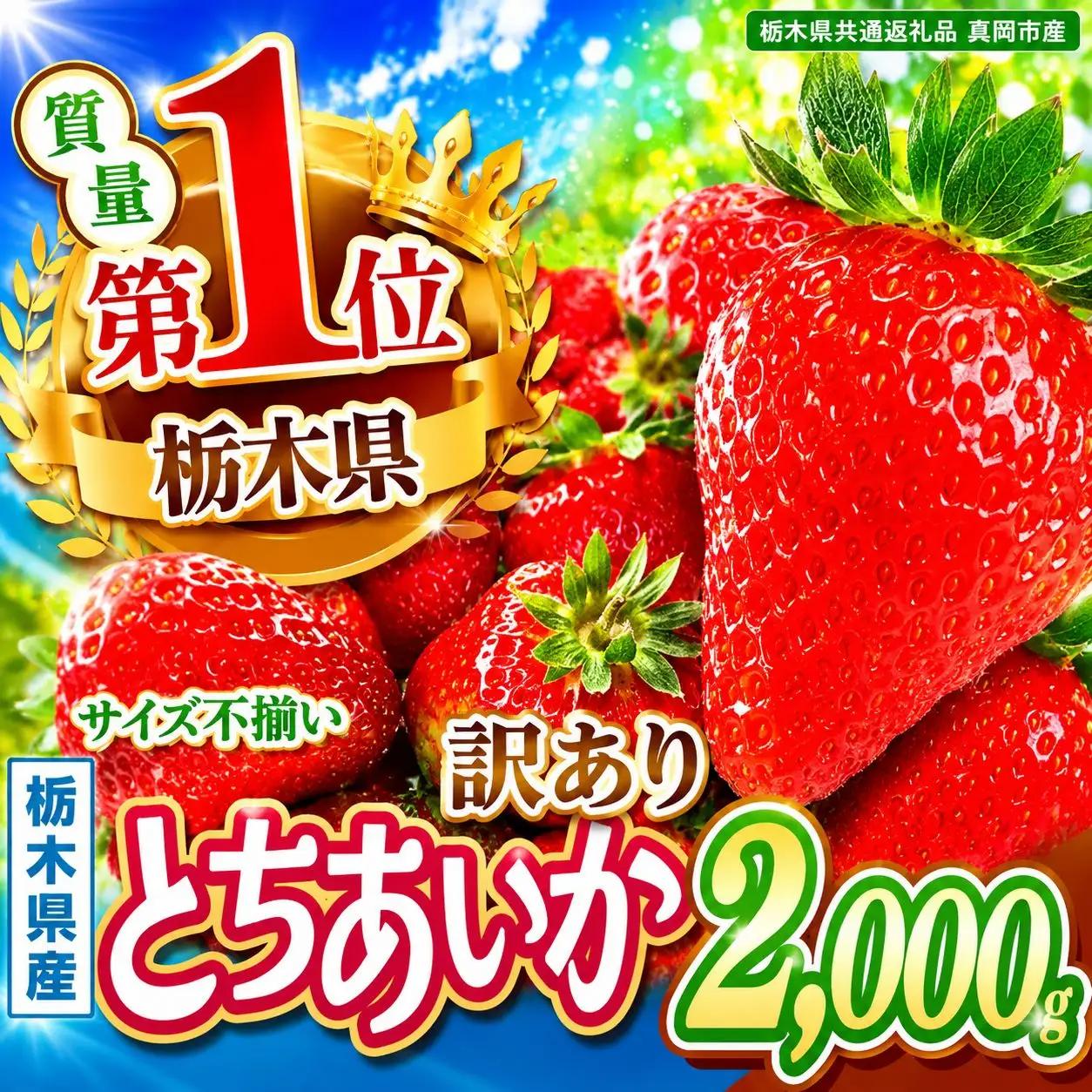 【先行予約】【栃木県共通返礼品】訳ありいちご サイズランダム 約2kg | 栃木県 那珂川町 送料無料