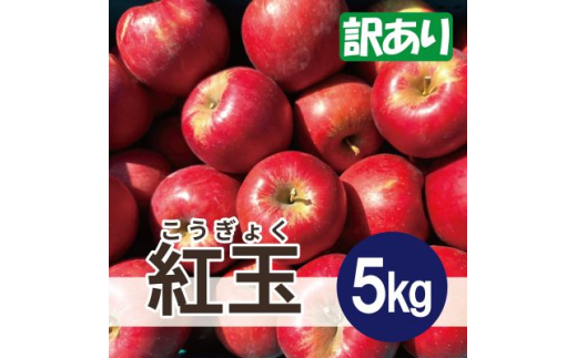 ＜26年1月より順次発送＞ 紅玉 約5kg 訳あり【1611854】