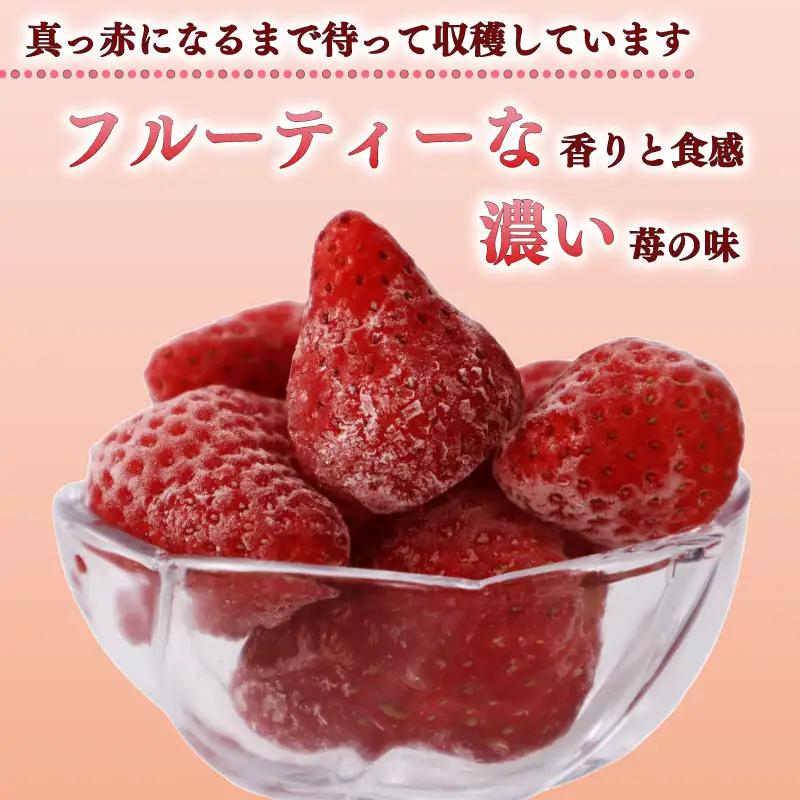 冷凍いちご いちご きらぴ香 1kg 苺 【冷凍いちご】 鈴木農園