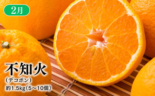 【定期便】【愛媛県共通返礼品】愛媛のかんきつ定期便（全6回）（日の丸みかん・紅まどんな・伊予柑・不知火・せとか・河内晩柑) ｜みかん 蜜柑 日の丸みかん 紅まどんな 伊予柑 不知火（デコポン） せとか