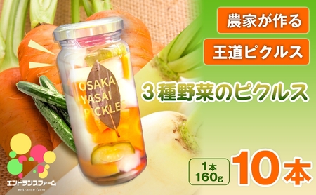 ＜農家が作る 王道ピクルス！＞3種野菜のピクルス(10本) 常温 常温保存 酢漬け 漬物 おかず サイドディッシュ ヘルシー カラフル おつまみ 【m104-05-E】【エントランスファーム】