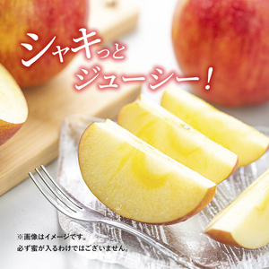 りんご 志賀高原 サンふじ 家庭用 10kg りんご