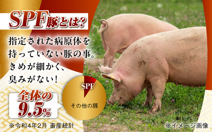 肉 豚 ぶた ブタ ロース しょうが焼き 生姜焼き しゃぶしゃぶ 小分け 長崎 九州 定期便