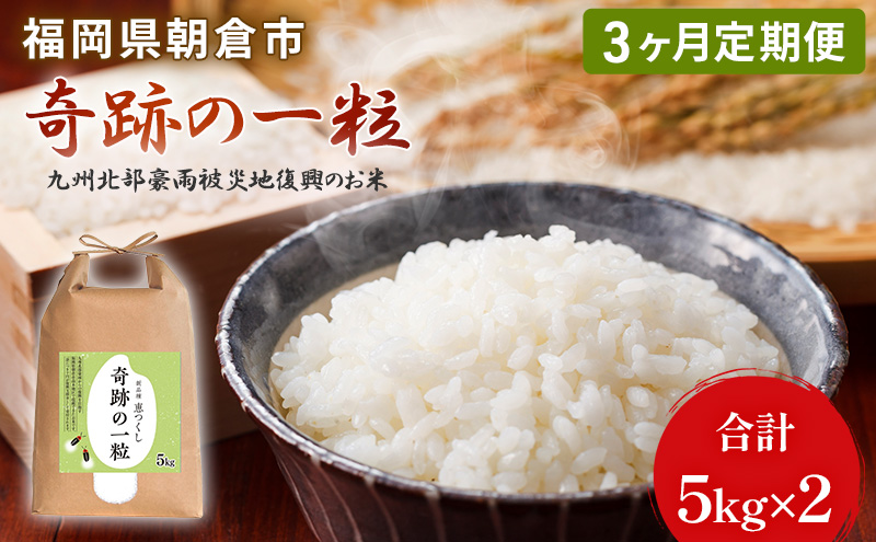 定期便 3ヶ月 米 10kg 恵つくし 奇跡の一粒 5kg×2 令和5年産 お米 こめ コメ 新品種 3回 お楽しみ