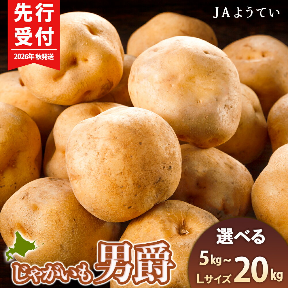 【ふるさと納税】【2026年秋発送 先行予約】じゃがいも 馬鈴薯（男爵）Lサイズ　選べる5kg〜20kg ＜JAようてい＞じゃがいも ジャガイモ 芋 男爵芋 男爵 だんしゃく いも 野菜 北海道ふるさと納税 ふるさと納税 北海道 黒松内町 通販 ギフト 贈答品 贈り物