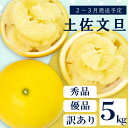 【ふるさと納税】 【 2月 上旬 から 発送 】 秀品 優品 訳あり 文旦 高知 5kg L ～ 4L サイズ 混合 浦ノ内特産 早期予約 予約受付中 期間限定 季節限定 限定 旬 みかん ミカン ぶんたん 高知県 土佐文旦 柑橘 家庭用