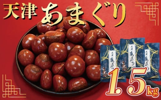 天津 甘栗 選べる 容量 1.5㎏ 京都 栗 くり 24年産 完熟 栗 くり 殻付き お菓子 おつまみ 甘露煮 マロン モンブラン 栗ご飯 京都 八幡 八幡市