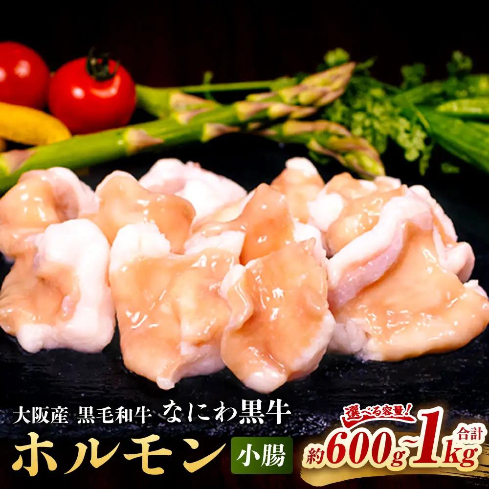 大阪産 和牛 なにわ黒牛 ホルモン （小腸） 200g × 5パック 合計約1kg 