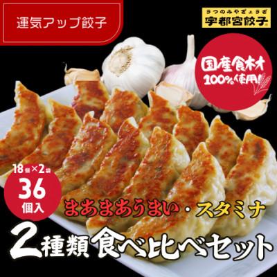 ふるさと納税 宇都宮市 宇都宮餃子 運気アップ餃子2種類食べ比べ(合計36個)  保存料不使用