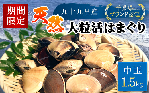 【千葉県ブランド認定】天然大粒活はまぐり（中玉）《1.5㎏》／ふるさと納税 はまぐり ハマグリ 蛤 貝類 魚介 海鮮 お吸い物 パスタ パエリア お歳暮 贈答 お祝い 千葉県産 千葉県 山武市 SMBO002