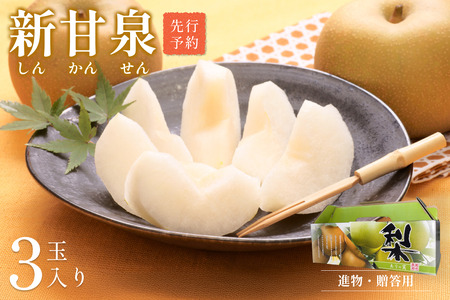 【先行予約】中野農園 梨 ”新甘泉” 3玉入り｜鳥取 岩美 梨 なし ナシ※お届けは2026年8月下旬以降【41019】