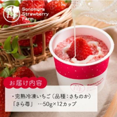 ふるさと納税 宇土市 熊本県宇土産 完熟冷凍いちご「さら苺」12カップ 練乳付き 園村苺園 |  | 01