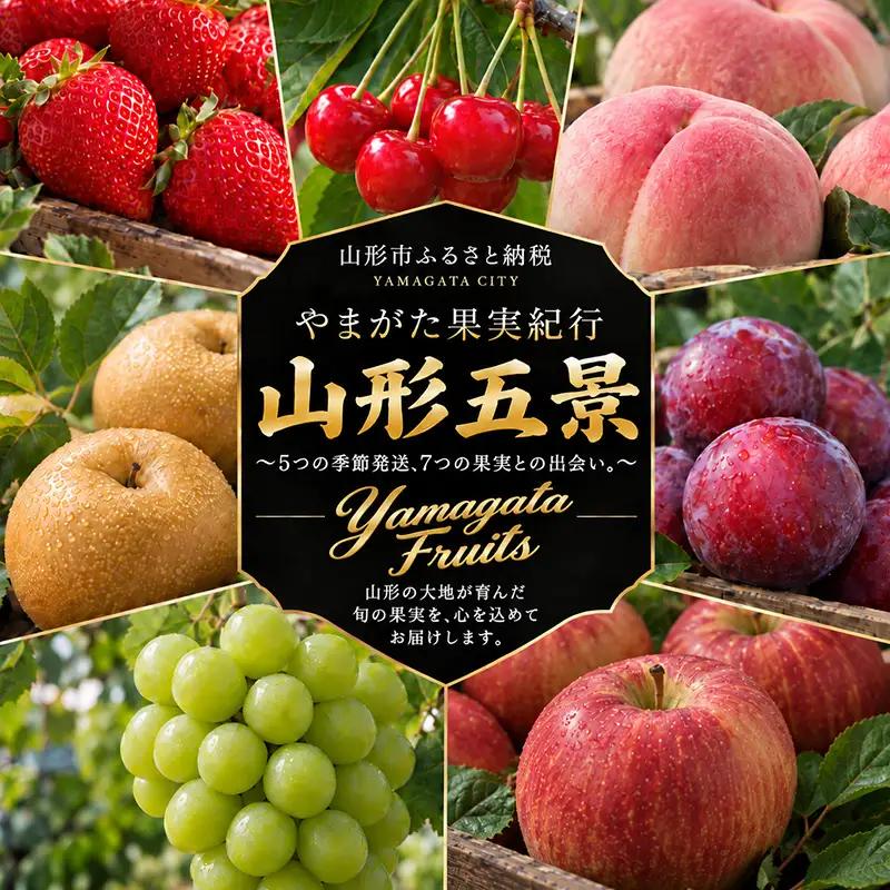【定期便5回】やまがた果実紀行 山形五景 ～5つの季節発送、7つの果実との出会い～ FY26-287