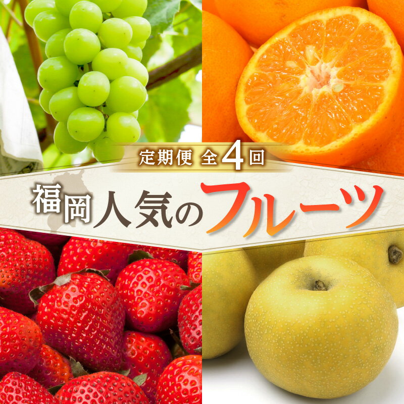 【ふるさと納税】福岡人気のフルーツ定期便【全4回】ふるさと納税で人気のフルーツお届け便　JAふくおか八女からお届け！！ いちご あまおう 梨 幸水 豊水 シャインマスカット みかん オレンジ