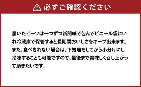 季節限定 ビーツ (レッドエース) 約3kg 野菜 やさい 健康野菜 スーパーフード 冷蔵 北海道 愛別町