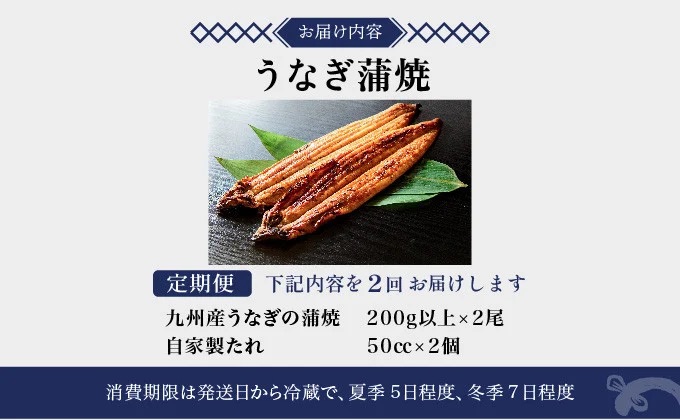 ＜2026年7月配送開始／定期便2回＞ うなぎ蒲焼き 計800g (200g×2尾×2回) 2026年7月配送開始