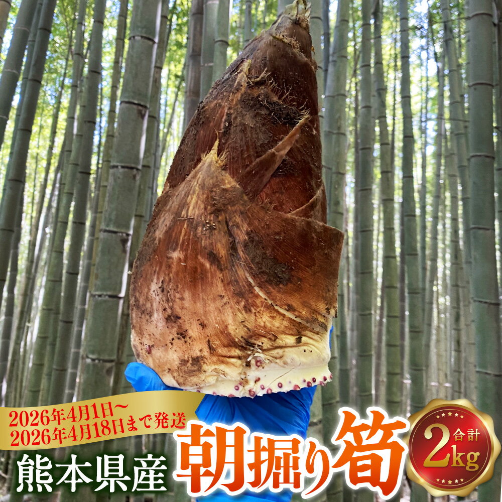 【ふるさと納税】熊本県産朝掘り筍 約2kg たけのこ タケノコ 国産 旬 皮付き 野菜 新鮮 朝掘り 煮物 お吸い物 サラダ 冷蔵 九州 熊本県 送料無料 【2026年4月1日～2026年4月18日発送予定】
