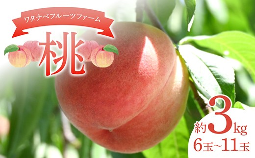 
                  ワタナベフルーツファームの桃 約3kg（ 6玉～11玉 ）もも モモ フルーツ 果物 F6Q-123
                