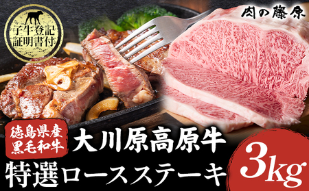 大川原高原牛 特選ロース 3kg 肉の藤原 《30日以内に出荷予定(土日祝除く)》