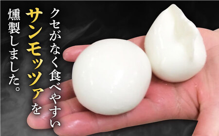 【全3回定期便】燻製 ナチュラルチーズ 100g (2個入り)×4袋 【山の未来舎】[YBV031]