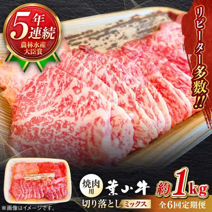 【全6回定期便】葉山牛1kg　焼肉用ミックス 牛肉（ロース、モモ、カルビ等 4種類 ) 食べ比べ[ASBD035]