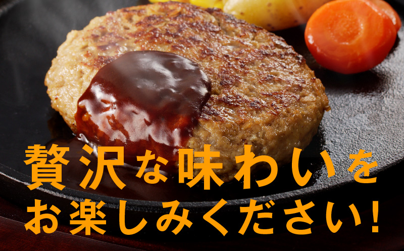 黒毛和牛100％ 極み生ハンバーグ（180g）×20個 CFX0028