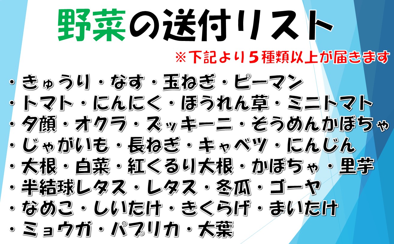 【数量限定】小国の旬の新鮮野菜セット　5品以上　