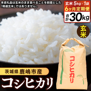 先行予約 令和8年産【6ヶ月定期便】 米 コシヒカリ 5kg × 6回 玄米 鹿嶋市産