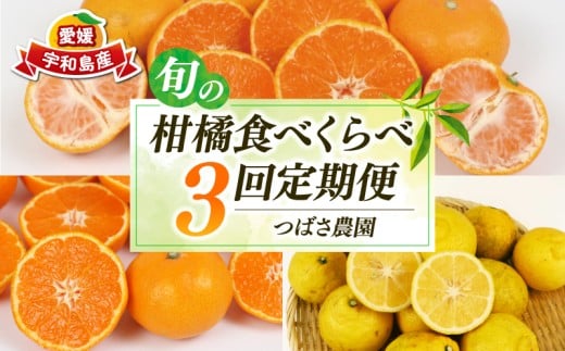 旬の 柑橘 定期便 全 3 回 つばさ農園 家庭用 早生温州 南柑20号 はるか 各 9kg 先行予約 みかん 愛媛みかん 愛媛蜜柑 早生みかん 早生 温州 果物 フルーツ くだもの 柑橘 mikan 農家直送 産地直送 数量限定 国産 愛媛 宇和島 B029-048016