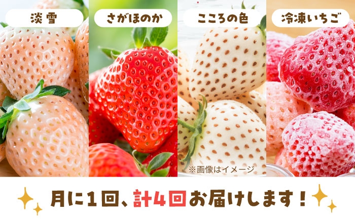 毎月届くサプライズ！岸川農園の四季を味わう贅沢定期便