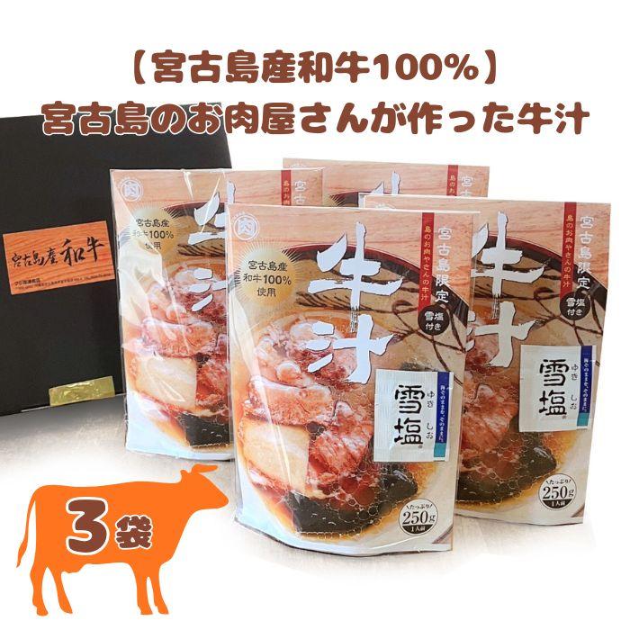 【ふるさと納税】【宮古島産和牛100％】宮古島のお肉屋さんが作った牛汁 ×3袋セット(DK008)
