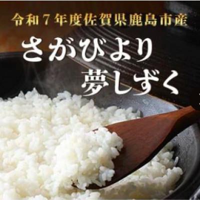 ふるさと納税 鹿島市 令和7年度産 鹿島市産 [さがびよりor夢しずく] 5kg 1袋 【品種指定不可】精米済　白米