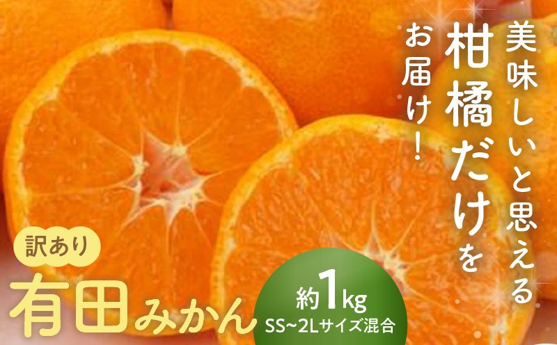 
                  AN6112_有田みかん【2026年先行予約】【訳あり】1kg SS～2L サイズ混合 農家直送
                