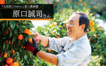 【糖度12度以上】原口みかんジュース 1L＜大島造船所 農産グループ＞ [CCK014]