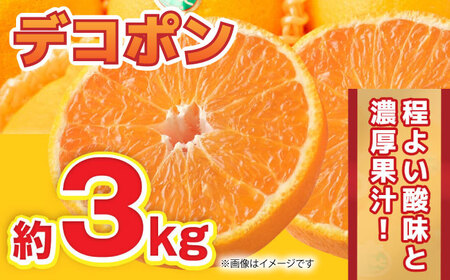 【先行予約】12月～2月発送 デコポン 約3kg 果物デコポン柑橘ZBG009