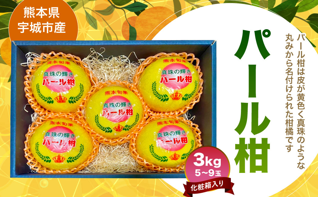 宇城市 パール柑（化粧箱入り）3kg 髙橋果樹園【2025年1月下旬から3月下旬発送予定】ぱーるかん 柑橘 フルーツ 果物 くだもの