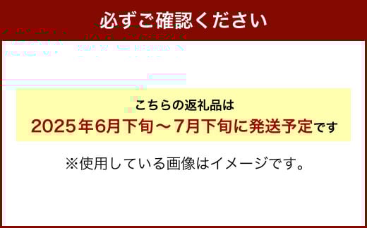 ＜先行受付＞北海道産 北斗メロン「赤肉メロン」〈LLサイズ〉2玉（優品以上／2玉で約4kg）【2025年6月下旬-7月下旬 順次発送予定】メロン 果物 くだもの フルーツ_イメージ5